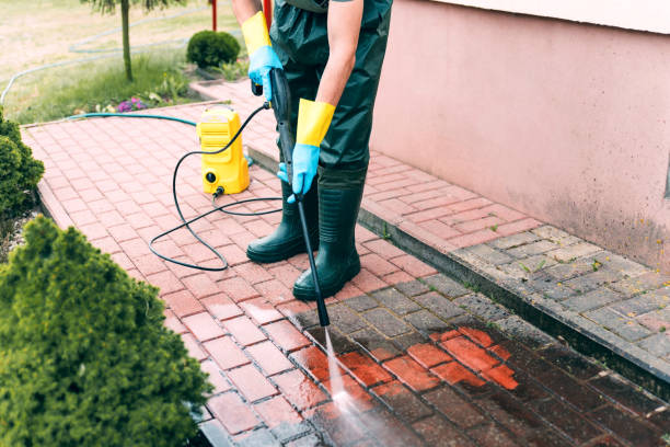 Best Solar Panel Cleaning  in Ogden, IA